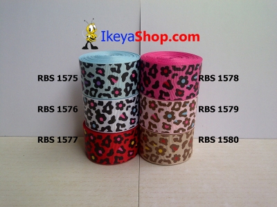 Pita RBS 1575 1580  large2